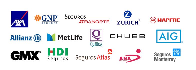 Logotipos de aseguradoras aceptadas por el Dr. Diego Hernandez Zamonsett - GNP, AXA, MetLife, Seguros Monterrey y más